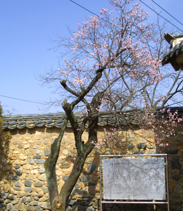 Namsa-ri Choe Ssi Mae
