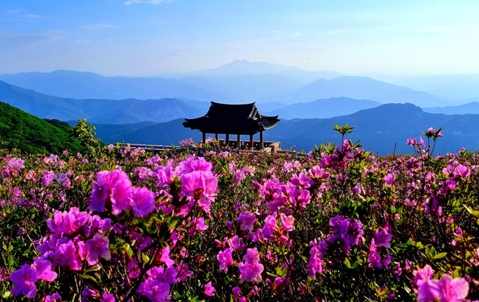 황매산