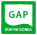 GAP MAFRA KOREA
