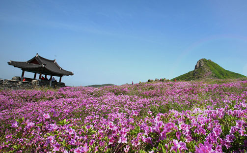 차황면