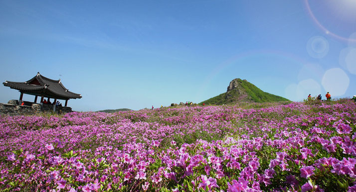 차황면